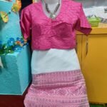 Hakoba Pink Designer Blouse
