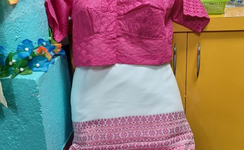 Hakoba Pink Designer Blouse